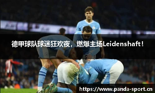 德甲球队球迷狂欢夜，燃爆主场Leidenshaft！