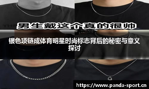 熊猫体育平台
