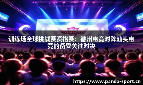 熊猫体育