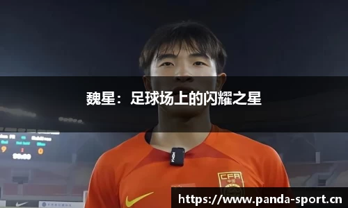 熊猫体育平台